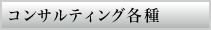 コンサルティング各種